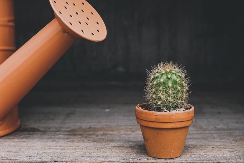 Personalized Planter